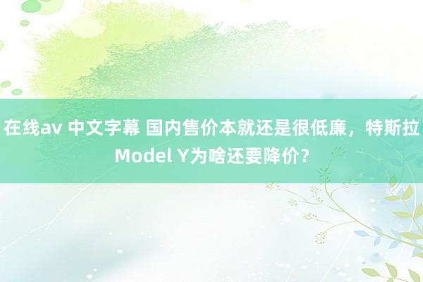 在线av 中文字幕 国内售价本就还是很低廉，特斯拉Model Y为啥还要降价？