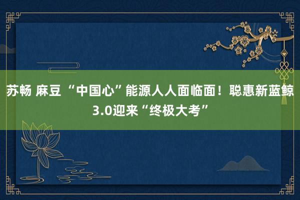 苏畅 麻豆 “中国心”能源人人面临面！聪惠新蓝鲸3.0迎来“终极大考”