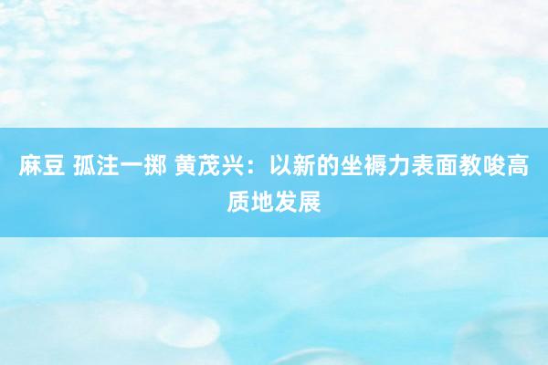 麻豆 孤注一掷 黄茂兴：以新的坐褥力表面教唆高质地发展