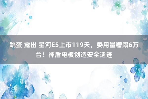 跳蛋 露出 星河E5上市119天，委用量糟蹋6万台！神盾电板创造安全遗迹