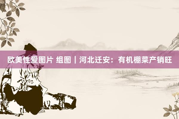 欧美性爱图片 组图｜河北迁安：有机棚菜产销旺