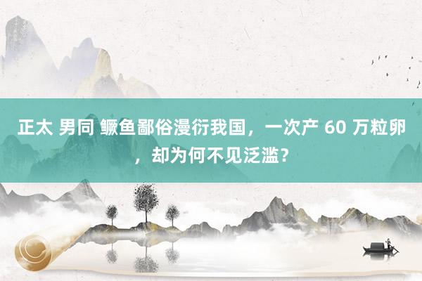 正太 男同 鳜鱼鄙俗漫衍我国，一次产 60 万粒卵，却为何不见泛滥？