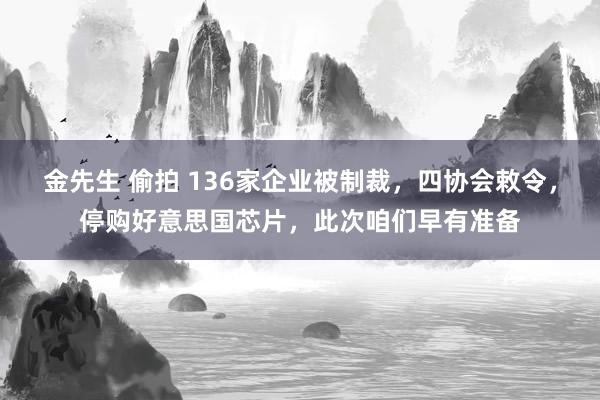 金先生 偷拍 136家企业被制裁，四协会敕令，停购好意思国芯片，此次咱们早有准备