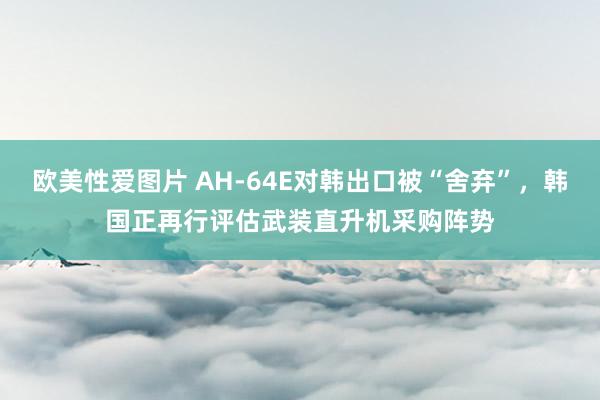 欧美性爱图片 AH-64E对韩出口被“舍弃”，韩国正再行评估武装直升机采购阵势