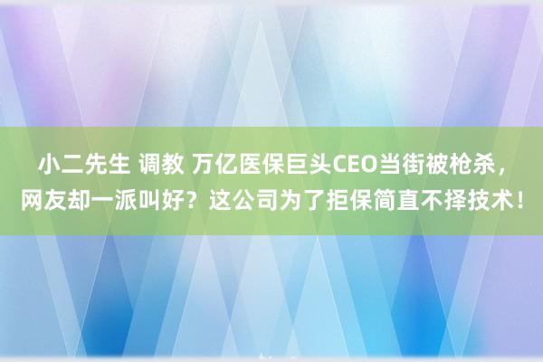 小二先生 调教 万亿医保巨头CEO当街被枪杀，网友却一派叫好？这公司为了拒保简直不择技术！