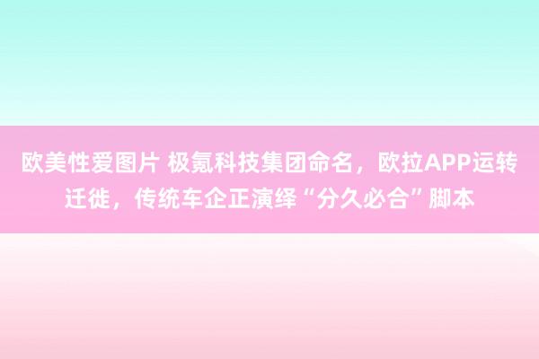 欧美性爱图片 极氪科技集团命名，欧拉APP运转迁徙，传统车企正演绎“分久必合”脚本