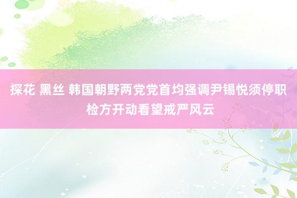 探花 黑丝 韩国朝野两党党首均强调尹锡悦须停职 检方开动看望戒严风云