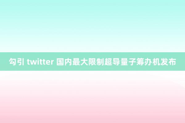 勾引 twitter 国内最大限制超导量子筹办机发布