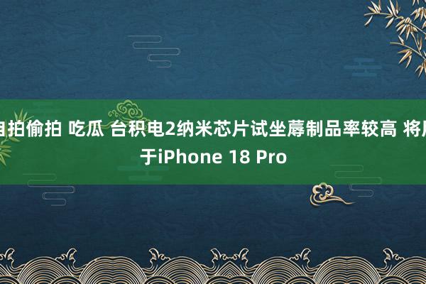 自拍偷拍 吃瓜 台积电2纳米芯片试坐蓐制品率较高 将用于iPhone 18 Pro