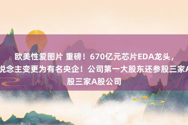 欧美性爱图片 重磅！670亿元芯片EDA龙头，实控东说念主变更为有名央企！公司第一大股东还参股三家A股公司