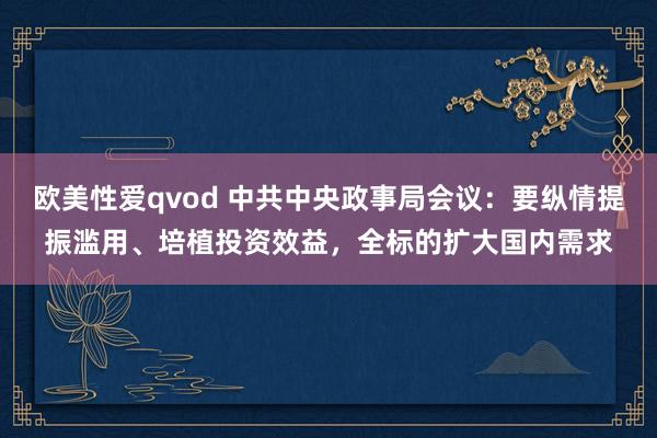 欧美性爱qvod 中共中央政事局会议：要纵情提振滥用、培植投资效益，全标的扩大国内需求