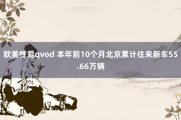 欧美性爱qvod 本年前10个月北京累计往来新车55.66万辆