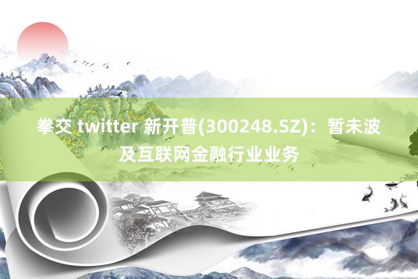 拳交 twitter 新开普(300248.SZ)：暂未波及互联网金融行业业务