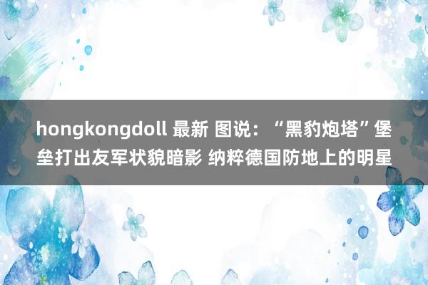 hongkongdoll 最新 图说：“黑豹炮塔”堡垒打出友军状貌暗影 纳粹德国防地上的明星