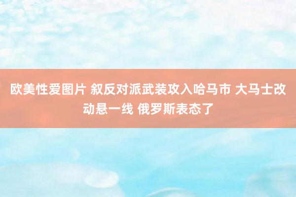 欧美性爱图片 叙反对派武装攻入哈马市 大马士改动悬一线 俄罗斯表态了