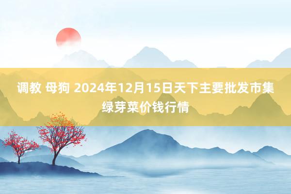 调教 母狗 2024年12月15日天下主要批发市集绿芽菜价钱行情