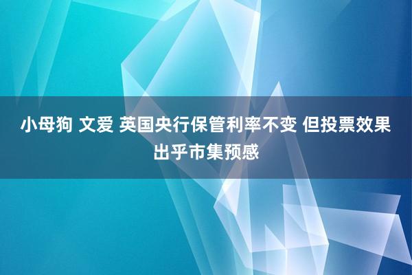 小母狗 文爱 英国央行保管利率不变 但投票效果出乎市集预感