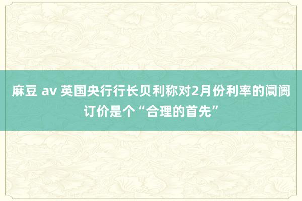 麻豆 av 英国央行行长贝利称对2月份利率的阛阓订价是个“合理的首先”