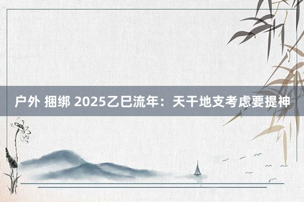 户外 捆绑 2025乙巳流年：天干地支考虑要提神