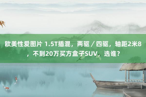 欧美性爱图片 1.5T插混，两驱／四驱，轴距2米8，不到20万买方盒子SUV，选谁？