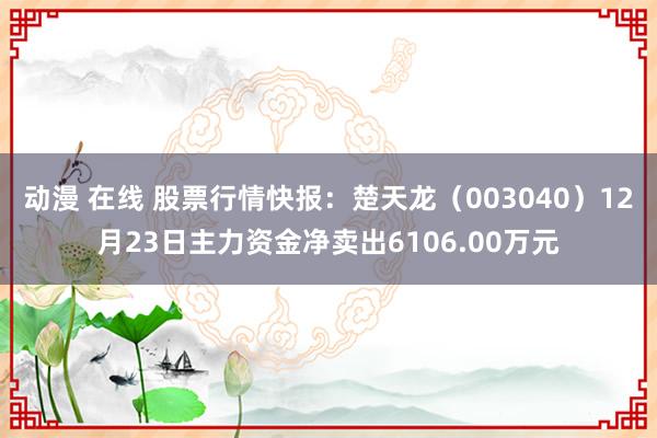 动漫 在线 股票行情快报：楚天龙（003040）12月23日主力资金净卖出6106.00万元