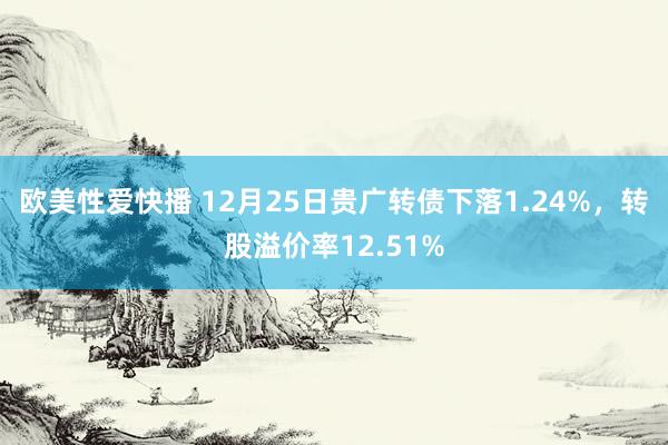 欧美性爱快播 12月25日贵广转债下落1.24%，转股溢价率12.51%