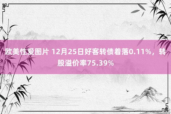 欧美性爱图片 12月25日好客转债着落0.11%，转股溢价率75.39%