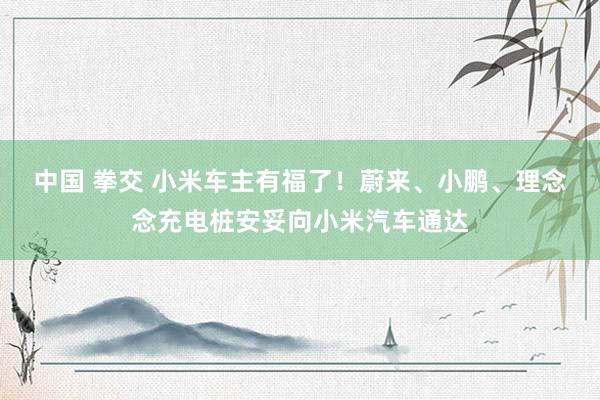 中国 拳交 小米车主有福了！蔚来、小鹏、理念念充电桩安妥向小米汽车通达