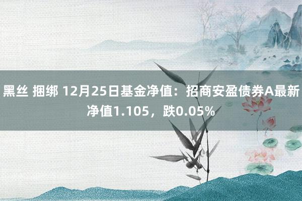 黑丝 捆绑 12月25日基金净值：招商安盈债券A最新净值1.105，跌0.05%