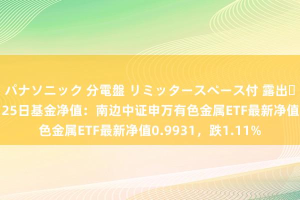 パナソニック 分電盤 リミッタースペース付 露出・半埋込両用形 12月25日基金净值：南边中证申万有色金属ETF最新净值0.9931，跌1.11%