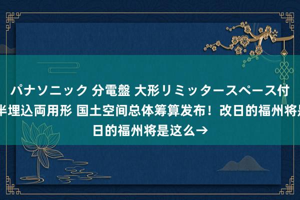 パナソニック 分電盤 大形リミッタースペース付 露出・半埋込両用形 国土空间总体筹算发布！改日的福州将是这么→