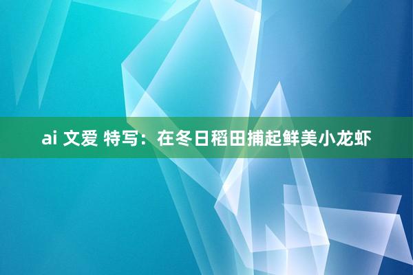 ai 文爱 特写：在冬日稻田捕起鲜美小龙虾