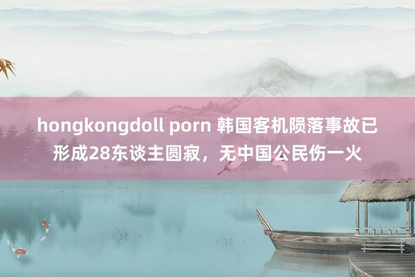 hongkongdoll porn 韩国客机陨落事故已形成28东谈主圆寂，无中国公民伤一火