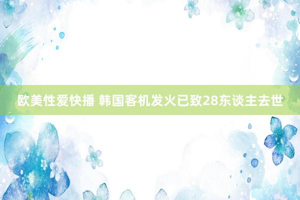 欧美性爱快播 韩国客机发火已致28东谈主去世