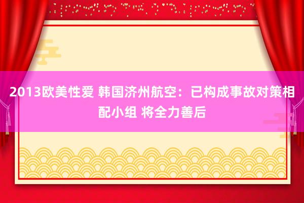 2013欧美性爱 韩国济州航空：已构成事故对策相配小组 将全力善后