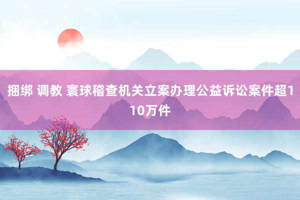 捆绑 调教 寰球稽查机关立案办理公益诉讼案件超110万件