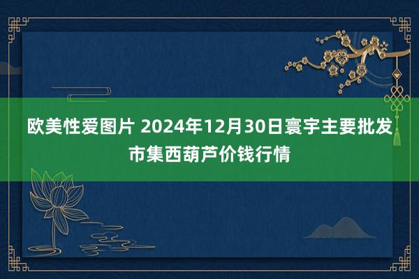 欧美性爱图片 2024年12月30日寰宇主要批发市集西葫芦价钱行情