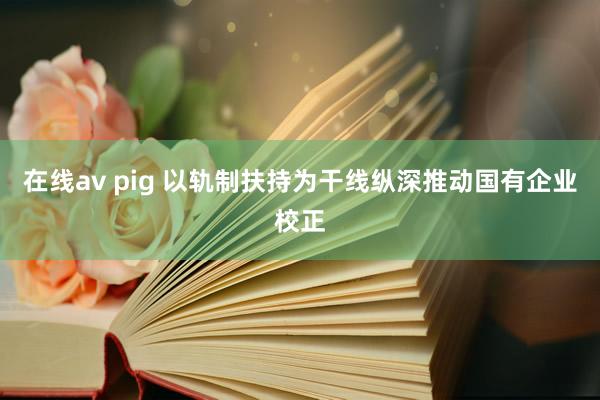 在线av pig 以轨制扶持为干线纵深推动国有企业校正