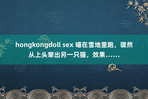 hongkongdoll sex 喵在雪地里跑，骤然从上头窜出另一只猫，效果……