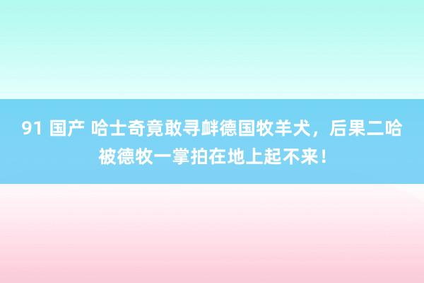 91 国产 哈士奇竟敢寻衅德国牧羊犬，后果二哈被德牧一掌拍在地上起不来！