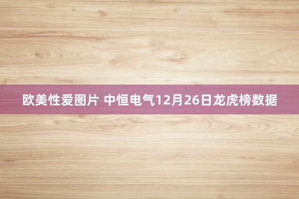 欧美性爱图片 中恒电气12月26日龙虎榜数据