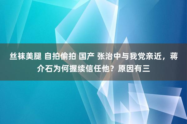 丝袜美腿 自拍偷拍 国产 张治中与我党亲近，蒋介石为何握续信任他？原因有三