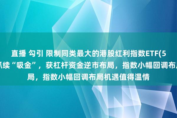 直播 勾引 限制同类最大的港股红利指数ETF(513630)近3日抓续“吸金”，获杠杆资金逆市布局，指数小幅回调布局机遇值得温情