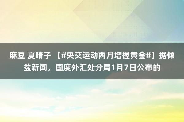 麻豆 夏晴子 【#央交运动两月增握黄金#】据倾盆新闻，国度外汇处分局1月7日公布的