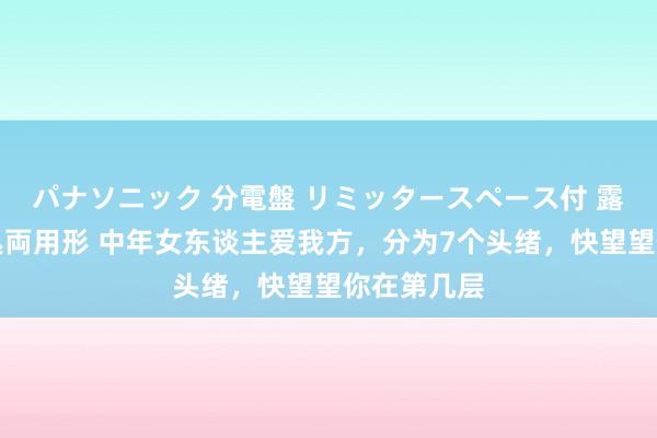 パナソニック 分電盤 リミッタースペース付 露出・半埋込両用形 中年女东谈主爱我方，分为7个头绪，快望望你在第几层