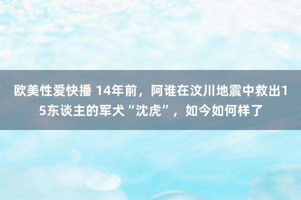 欧美性爱快播 14年前，阿谁在汶川地震中救出15东谈主的军犬“沈虎”，如今如何样了