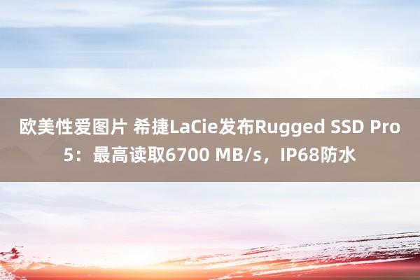 欧美性爱图片 希捷LaCie发布Rugged SSD Pro5：最高读取6700 MB/s，IP68防水