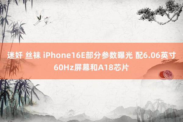 迷奸 丝袜 iPhone16E部分参数曝光 配6.06英寸60Hz屏幕和A18芯片