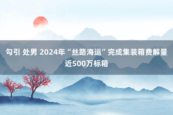 勾引 处男 2024年“丝路海运”完成集装箱费解量近500万标箱