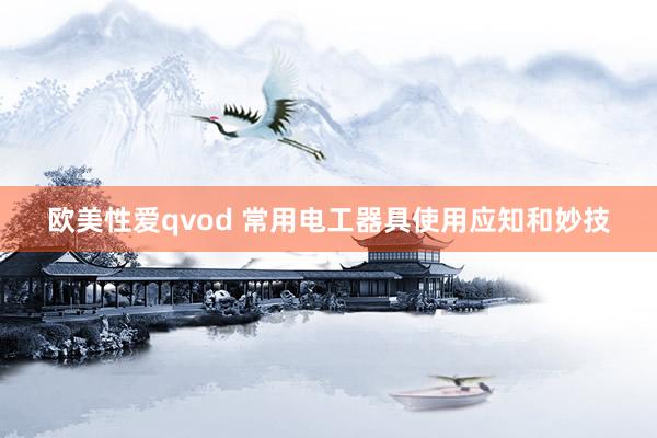 欧美性爱qvod 常用电工器具使用应知和妙技